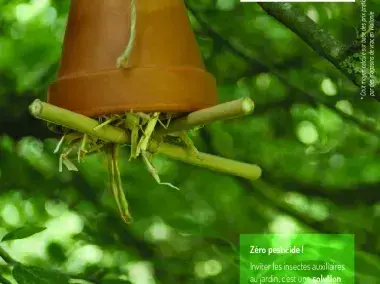 Mes abris à insectes